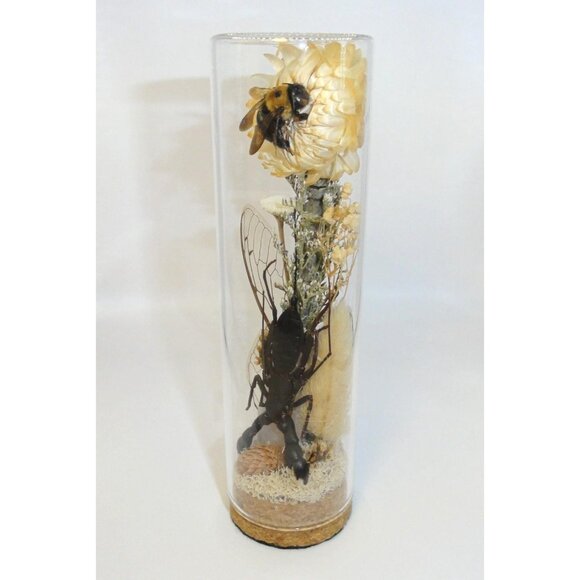 Vinegaroon Bee Crystal Oddity Jar curiosity dome flowers whip scorpion taxidermy - Picture 6 of 14